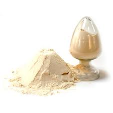 Lactose Free Protein Powders 